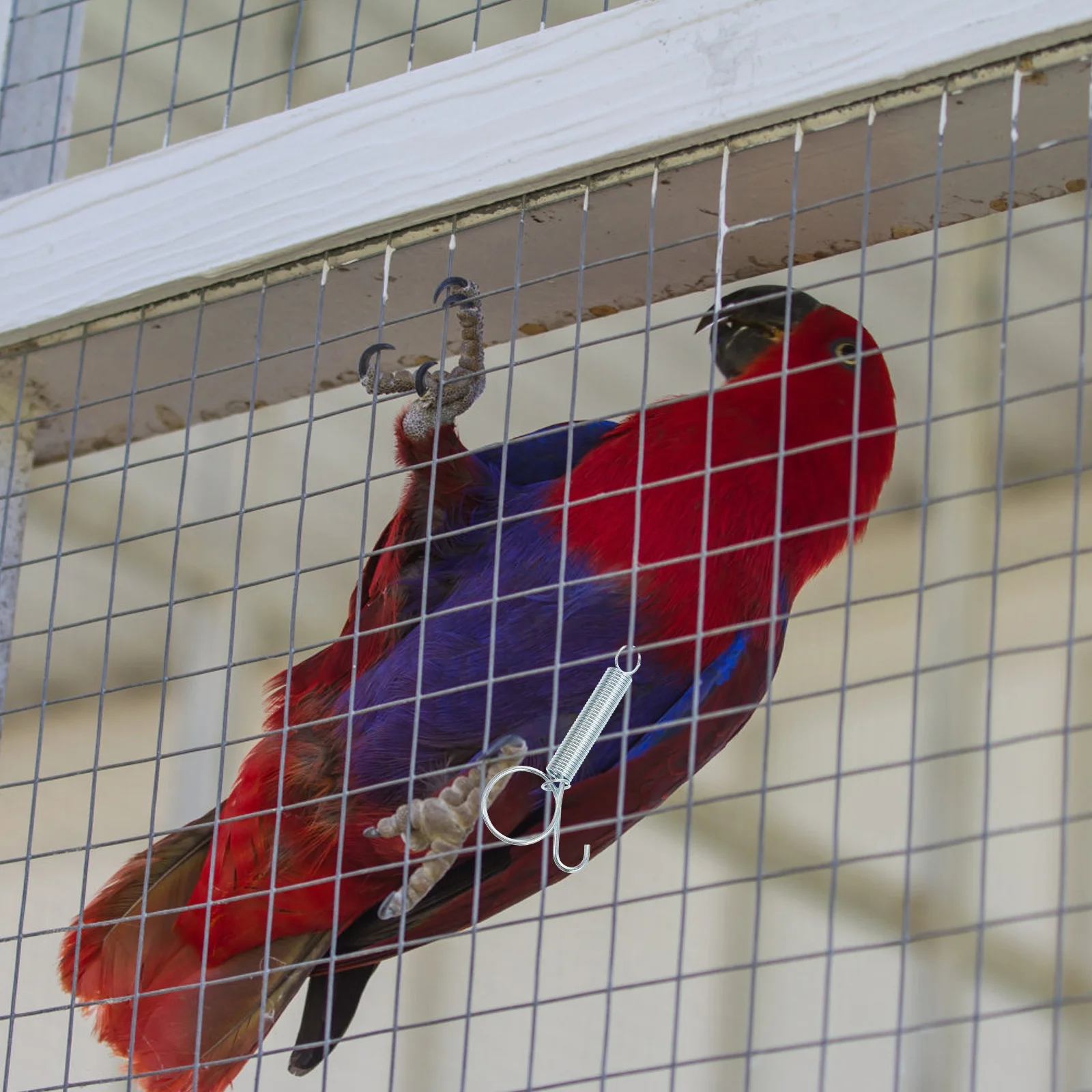 

10 pcs Door Spring Stainless Steel Fixing Hanger For Rabbit Chicken Bird Cages Pet Cage Accessory Parrot Cage Door Hook Feeder