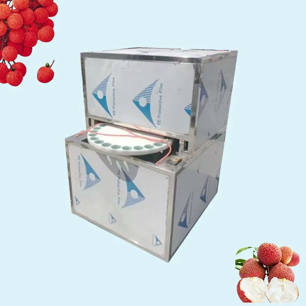 Factory Price Large Capacity Electric Lychee Pitting Machine Lychee Seed Removing Machine for Commercial Use