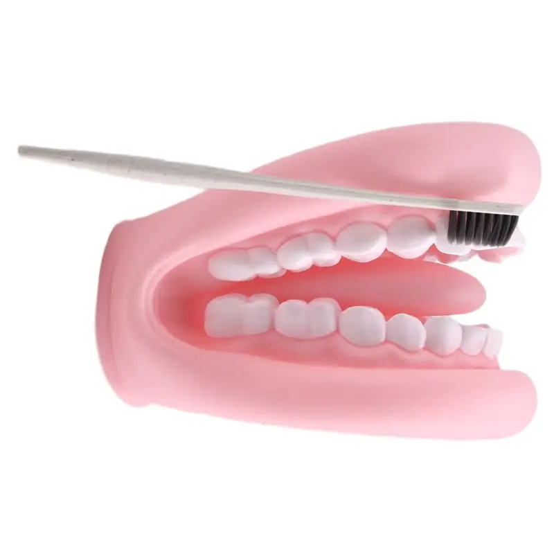 

WOTT-Educational Tool Mouth Puppet With Tongue Teeth Mouth Hand Model For Boy Girl With Toothbrush
