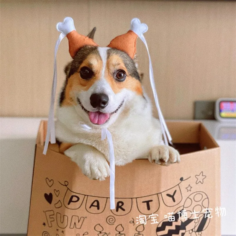 Équipement de sauna jetable pour animaux de compagnie, chapeau mignon et drôle, équipement de sauna de tante, chat, chien, corgi, ours, robe de transformation