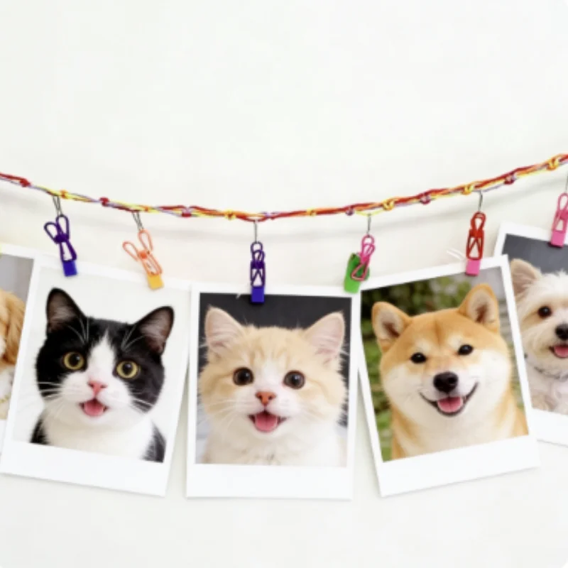 Fondo de pared colgante de cuerda de algodón para fotos gatos y perros - imagen 2