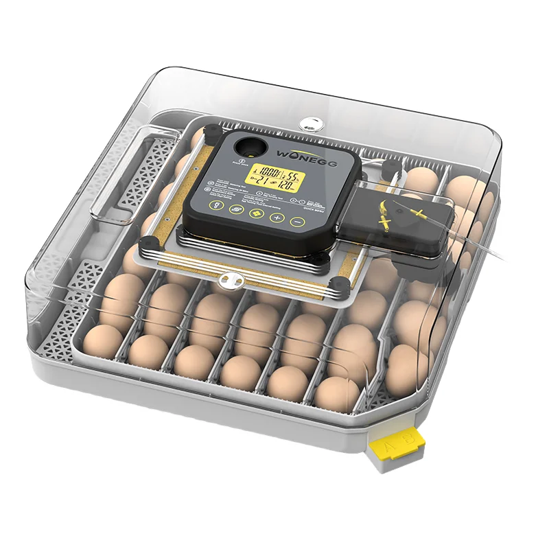 WONEGG HHD 48HPro Dual Power Incubator, Fits Chicken Duck and Goose Eggs