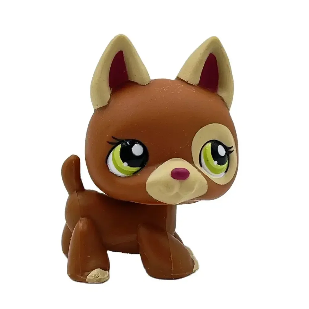 Rare rare littlest pet shop toy cute animal toy yellow lion orange frog blue owl rabbit puppy old original Bobble head toy lps