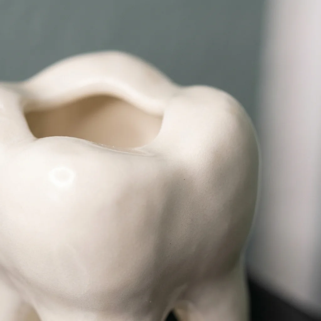 حامل فرشاة أسنان ثلاثي الأبعاد - مراجعة 3D Printing Tooth وسعره