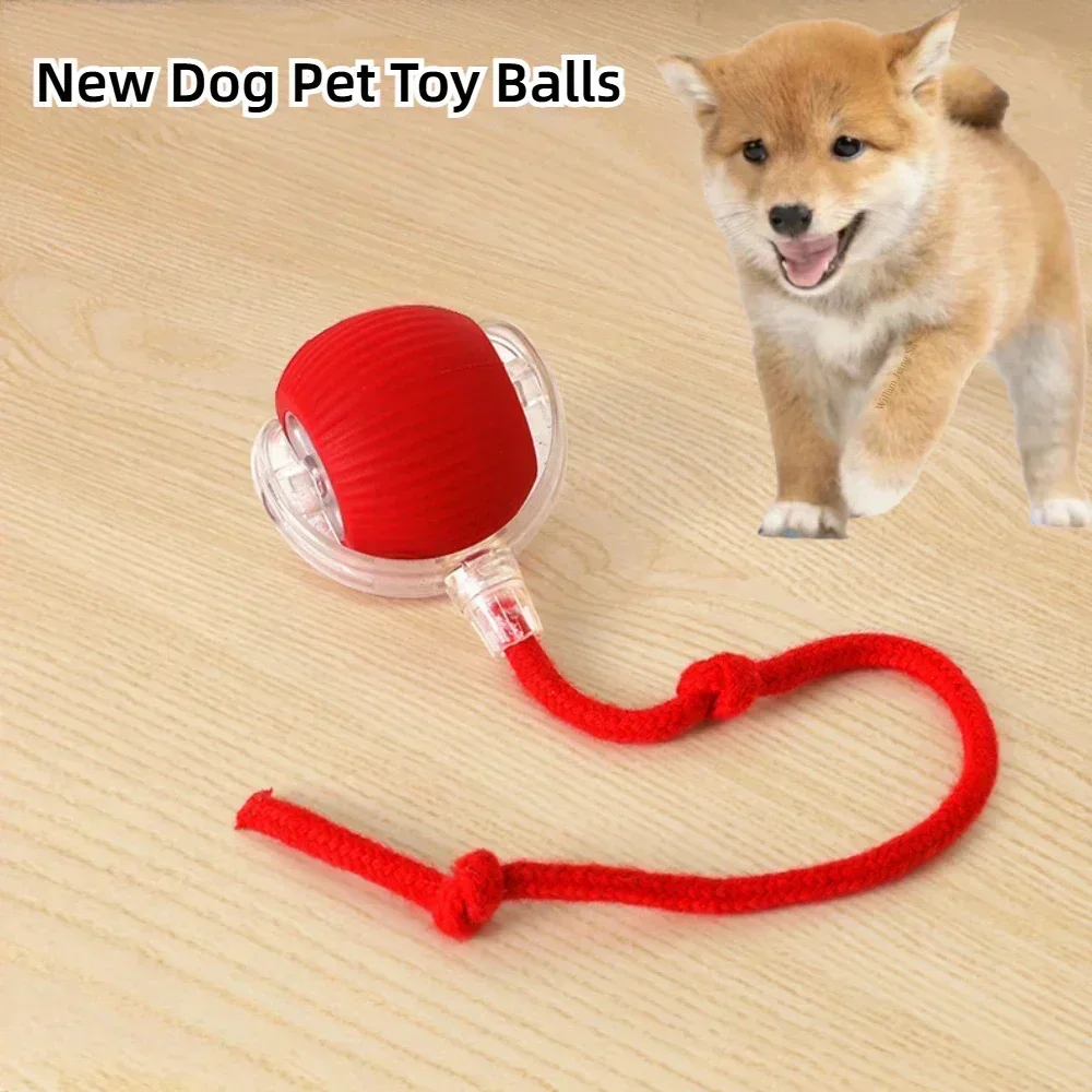 Automatic Rolling False Tail Ball Dog Accessories Cat Supplies Rechargeable Smart Pet Electric Toys Cat and Dog Items Home Cats