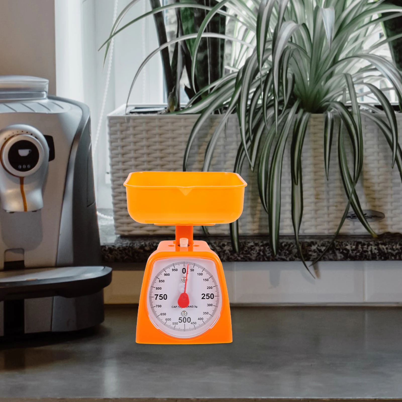 

Teaching Disc Scale Spring Accessory High Precision Food Baking Scale Portable Grams Measurer Student