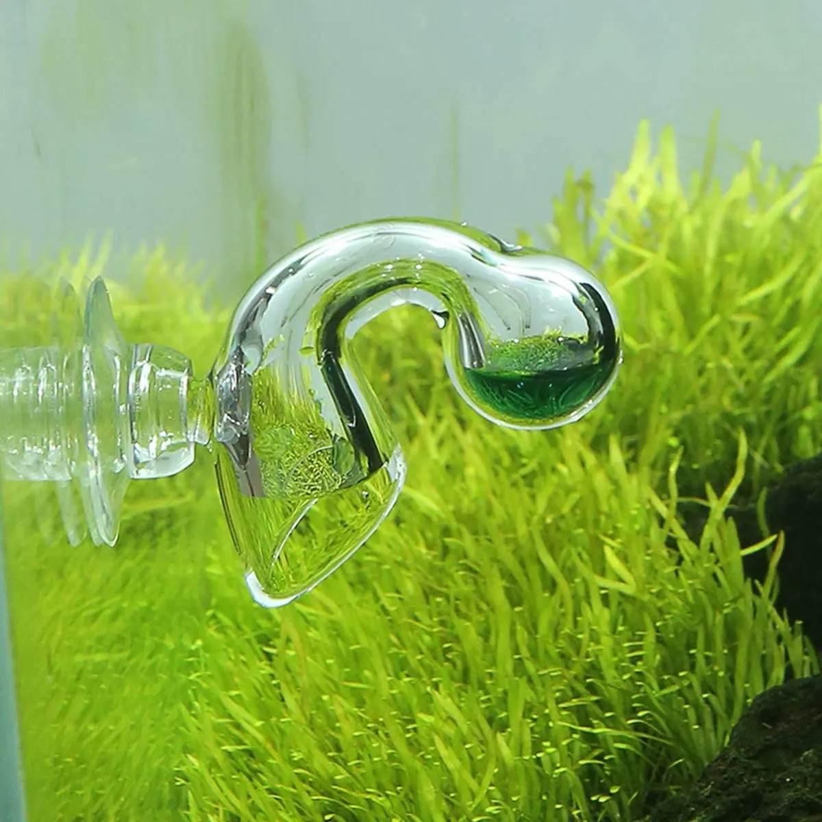 VIV CO2 Glass Checker Hanging Monitor PH Detector Set  Fish Tank Carbon Dioxide Tester Cylinder Concentration