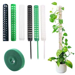 Plantas de escalada vara planta pólo esfagnum planta suporte treliça quadro água musgo coluna pólo para vasos flor videiras escalada