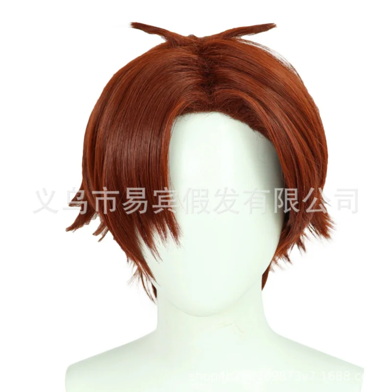 

Ayanokouji Kiyotaka Cosplay Costume Short Party Hair Anime Wig Wigs