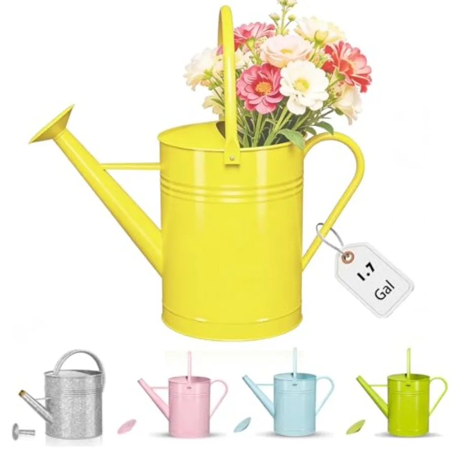 

Galvanized Watering Can for Outdoor Indoor Plants.7 Gallon Decorative Countryside Style Water Can with Removable Spout Metal Wa