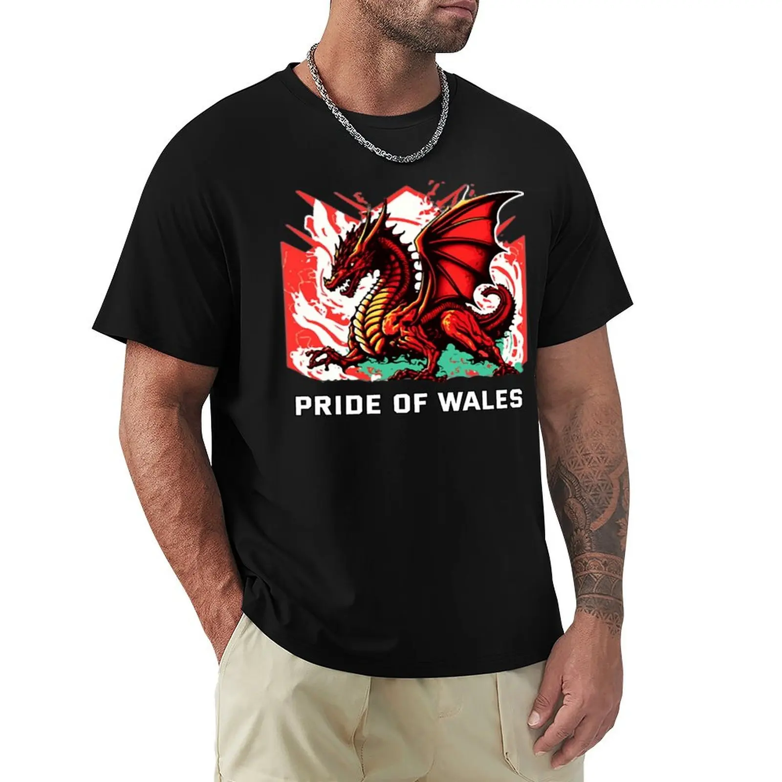 Pride of wales T-Shirt Basic Tee Shirt for Everyday Outfit