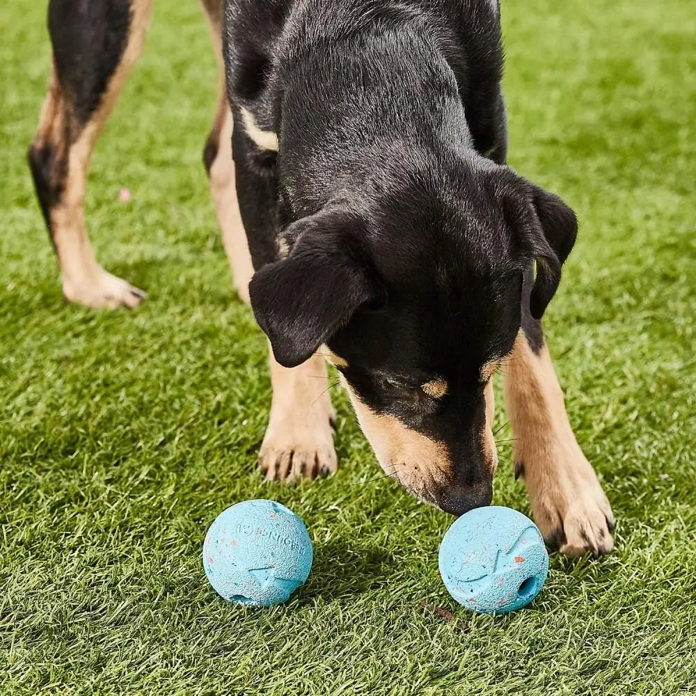 Chuckit! Fetch Medley Dog Ball Dog Toys, Medium (2.5 Inch) Pack of 3