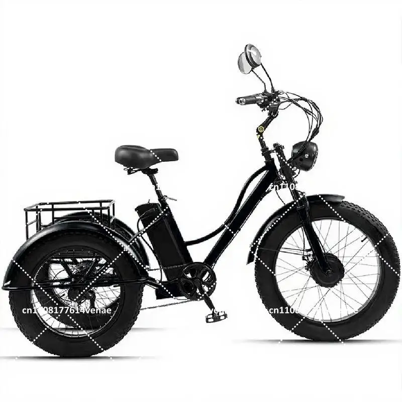 750W 3 Wheel Electric Mountain Tricycle for Adults, 48V Removable Battery, Two-Seat Off Road E-Bike for Men