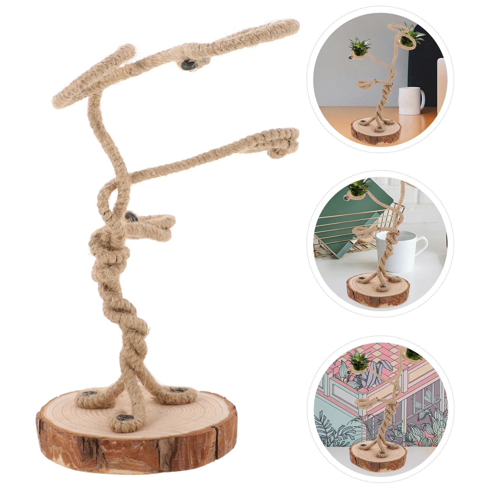 حامل نباتات الهواء خفيف الوزن لطاولة المكتب والمنزل وحامل Tillandsia وحامل الطاولة وحوامل Tillandsia #4