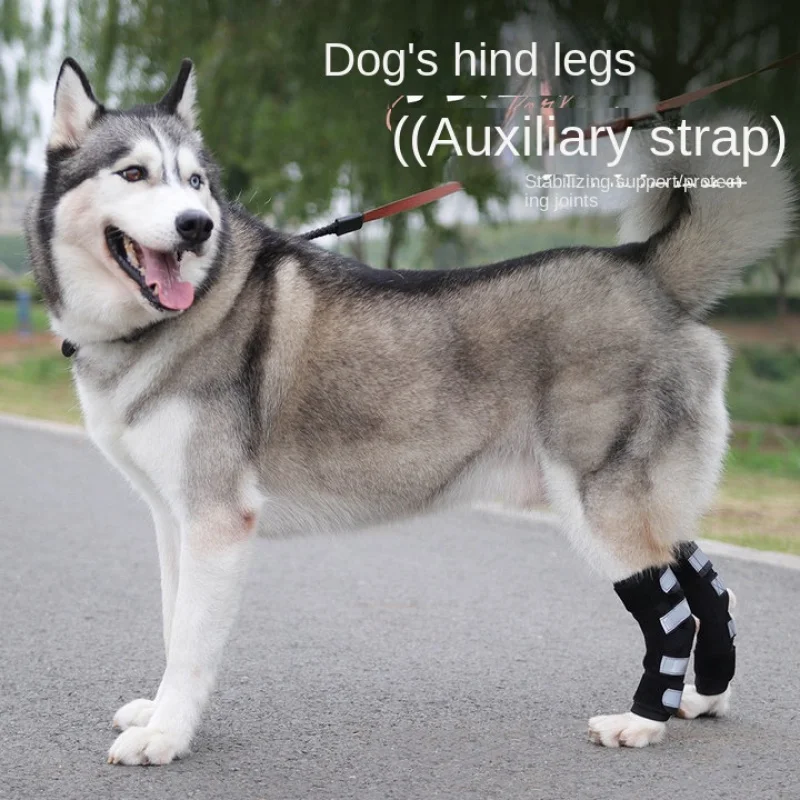 

Special Knee Pad Pet Gear Dog Post-Operation Recovery Reflective Joint Protective Sleeve