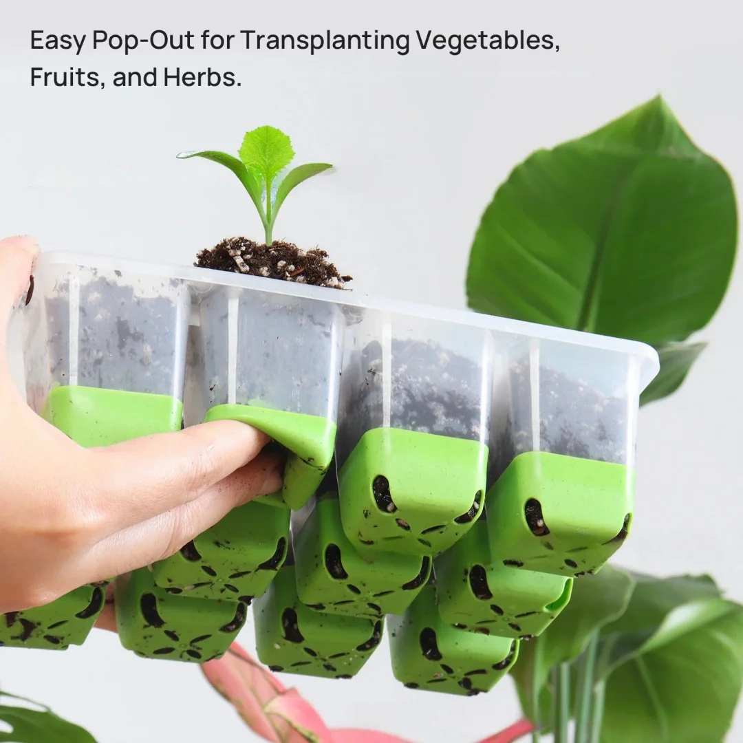 Transparent 12-cell Seedling Houseplant Growing Tray Indoor Garden Greenhouse Pottings Boxs Adjustable Humidity Germination Box