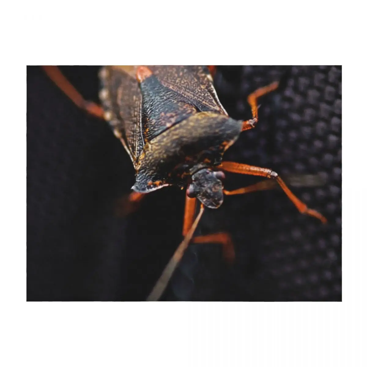 

THE HITCHHIKER FOREST SHIELDBUG Throw Blanket Bed linens Blankets For Bed Furrys bed plaid Blankets