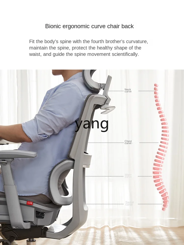 Yhl Engineering  Computer Chair Engineering Waist Support Office  Comfortable Long Sitting Executive Chair E-Sports Mesh