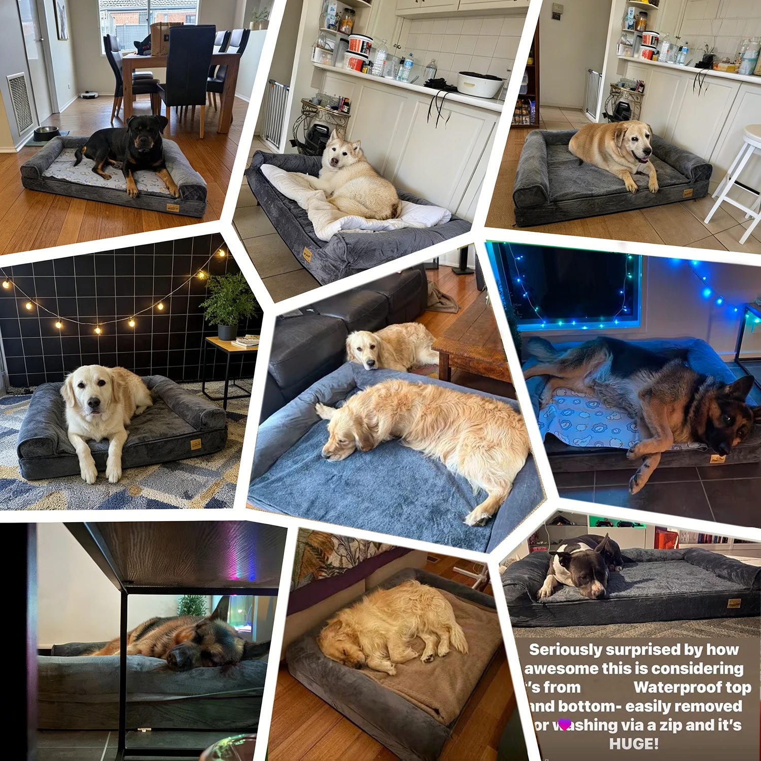 Cama ortopédica viscoelástica para perros grandes, funda impermeable - imagen 4