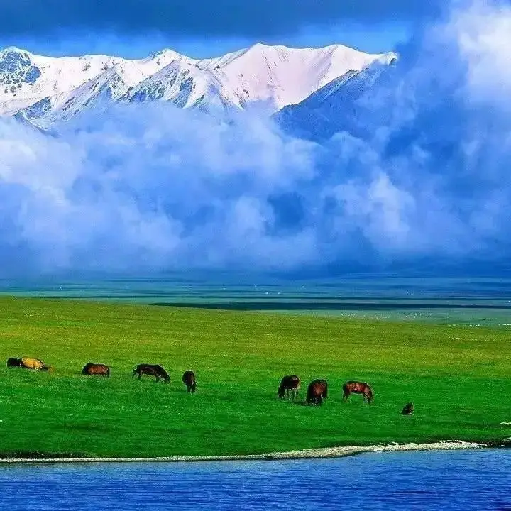 

Fabric cloth sample payment shipping fee