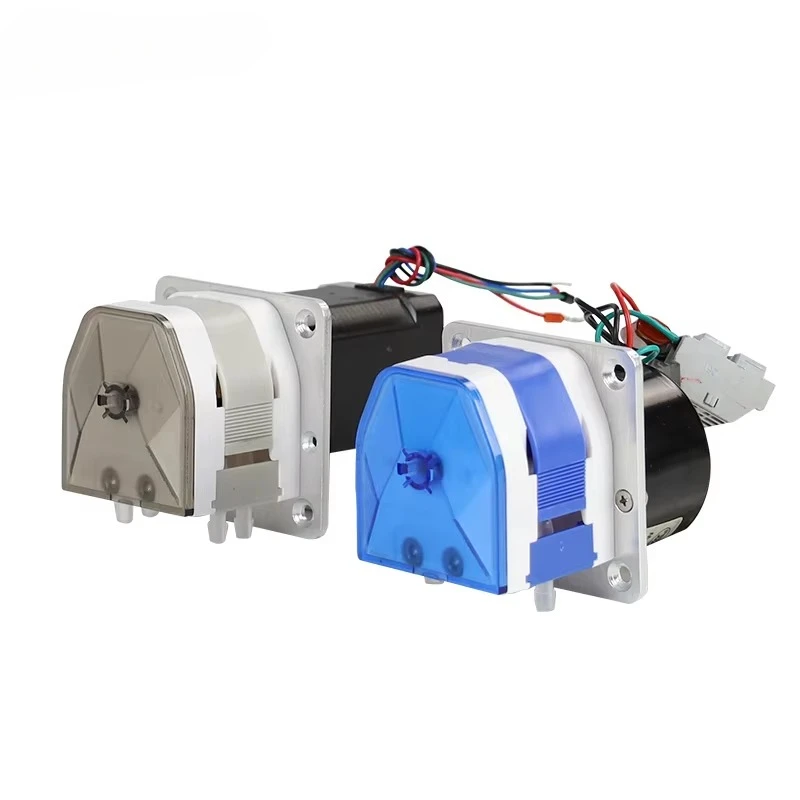 110v 220v DC 12v 24v Small Mini Micro OEM Peristaltic Pump Dual Channel Water Liquid Dosing Pumps Parts Price Cheap