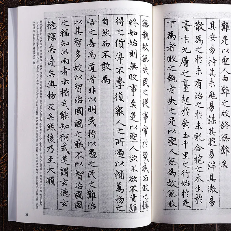 Chinese Calligraphy Copybook of Famous Artists Stone Inscriptions and Rubbings for Zero-basic Beginners Learning and Practicing