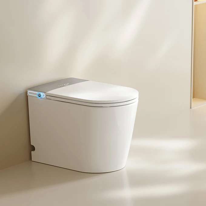 S024 Small and Compact Integrated Bathroom Toilet Powerful and Quiet Dual Flush Modern Toilet