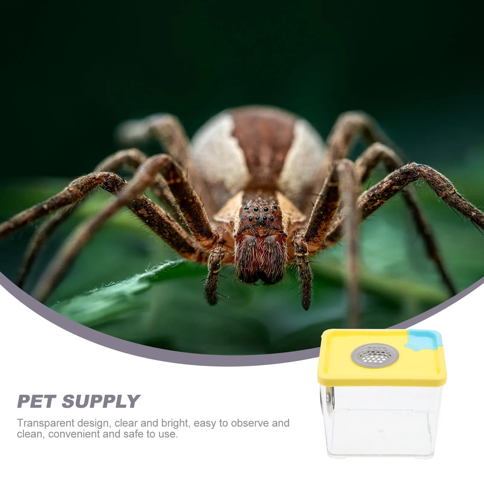 

Transparent Reptile Feeding Box Durable Breathable Anti-Escape Case for Snakes Spiders Geckos Hermit Crabs Pet Supply Container