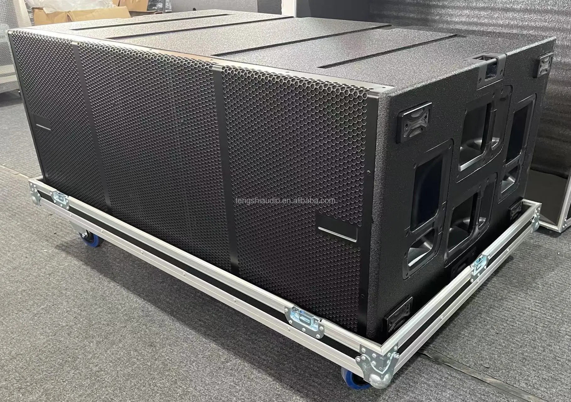 LSvio218 4800W Dual 18 Inch Subwoofer Professional Active & Passive Subwoofer Pa System Outdoor Concert Sound System