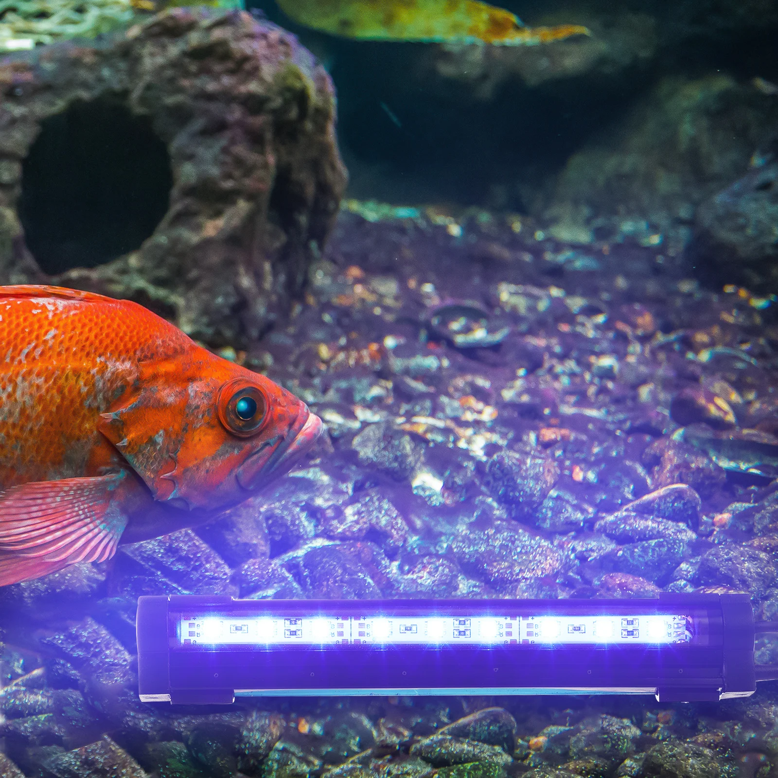 

1pc Led Aquarium Light Waterproof Color Changing Fish Tank Lamp Remote Control Submersible Decorative Lighting For Fish Tank