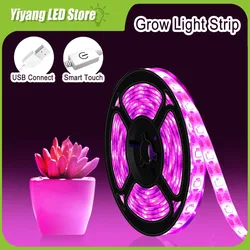 Bande Lumineuse LED pour la Croissance des Plantes, Lampe Phyto pour Serre Hydroponique, Plantation de Fleurs et Graines, 5V