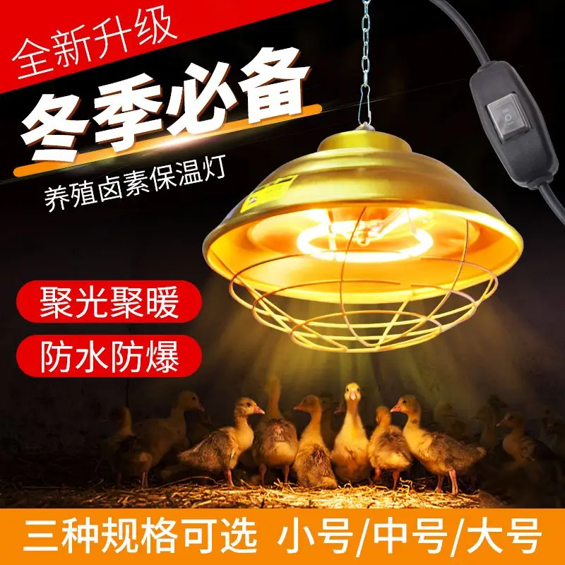 Heat preservation lamp, brood heating, heat preservation lamp, heating lamp, animal husbandry heat preservation lamp