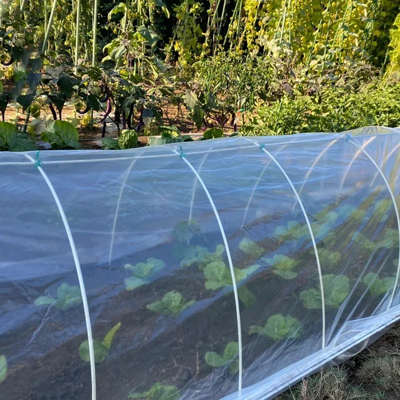 White Transparent Vegetable Greenhouse Film Arched Shed Cold-proof Special Films Vegetable Planting Insulation Plastic Cloth