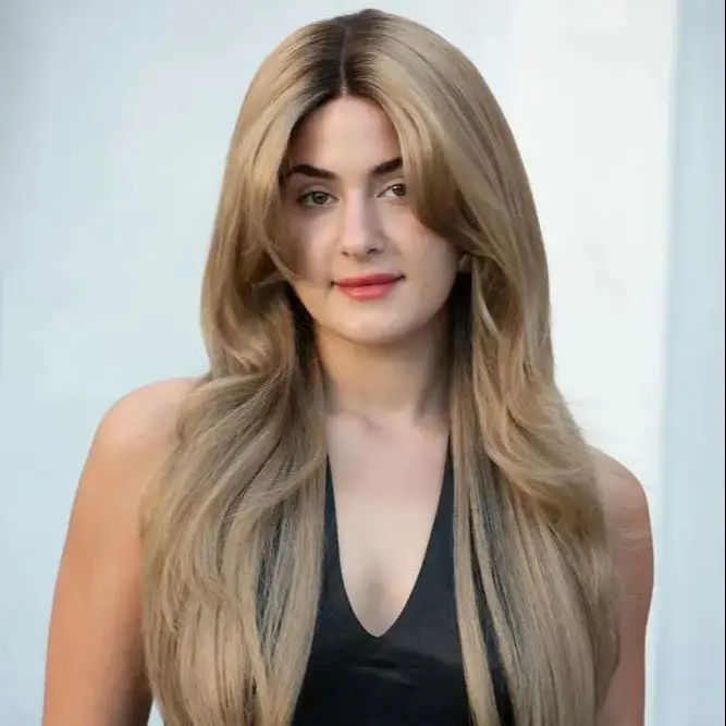 Luxury Women's Wigs Chestnut Brown HD Synthetic Lace Front Wig With Dark Roots Long Length Layer Wave Original Factory Cheap Wig