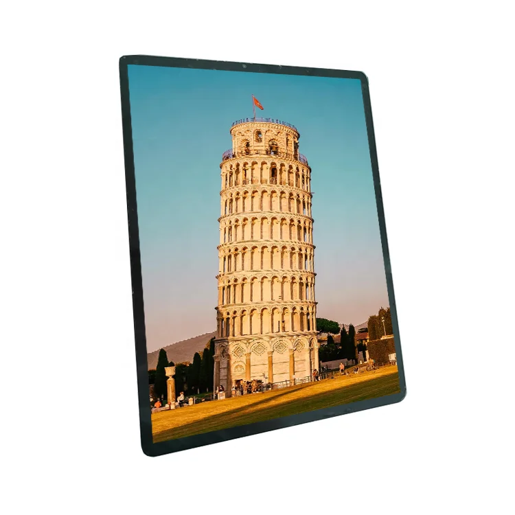 AMOLED Display 11 inch 1728*2368 Resolution RM69380 Driver IC MIPI Interface ALL Viewing Angle Touch OLED