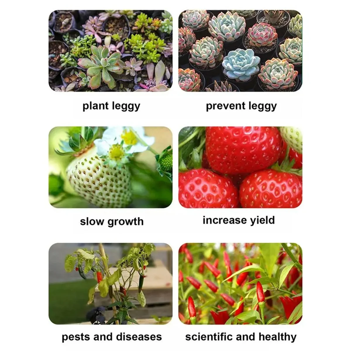 A06T-Full Spectrum Plantas Grow Light Auto On/Off LED Lâmpada Sunlight Quantum Grow Lamp 2