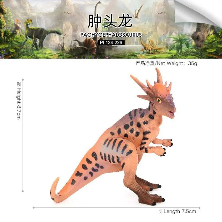 محاكاة الديناصور الجوراسي نماذج للحيوانات Pachycephalosaurus ديناصور لعبة بلاستيكية الصلبة نموذج للأطفال حلية المعرفية #5