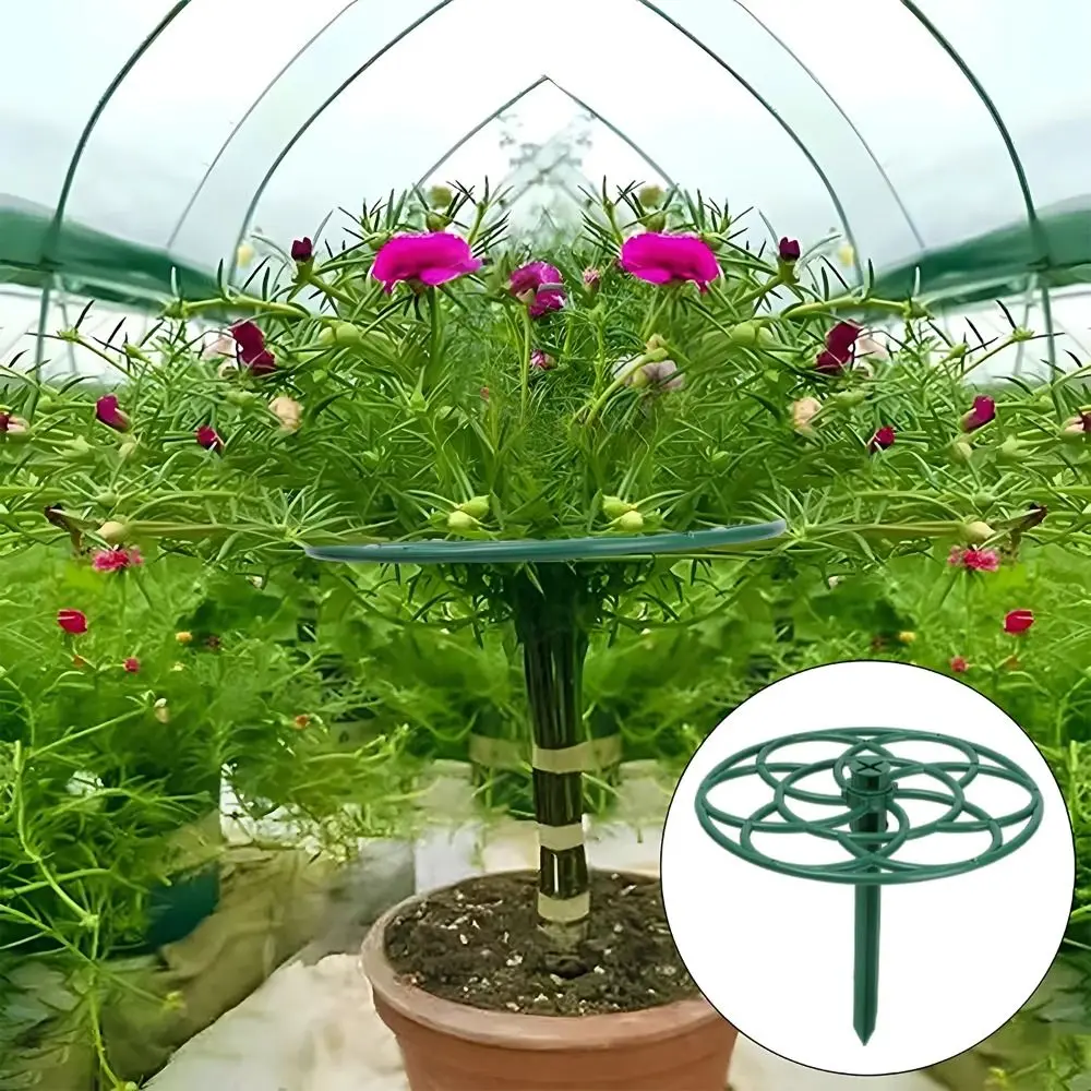 S/M/L Bonsai Climbing Frame Stackable Multi-layer Plant Cage Support Stand Plastic Plant Support Stand Gardening Supplies