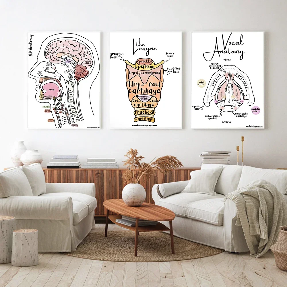 Human And Head Brain Vocal Anatomy Poster Vintage Print Neuroscience Physiology Wall Art Pictures Doctors Office Home Decoration