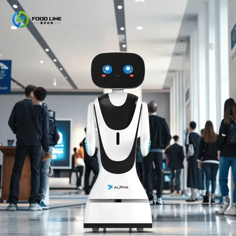 Reception Assistant Multi-functional Robots for Reception and Front Desk Reception Robot CUSTOMIZED Welcome Humanoid Robot