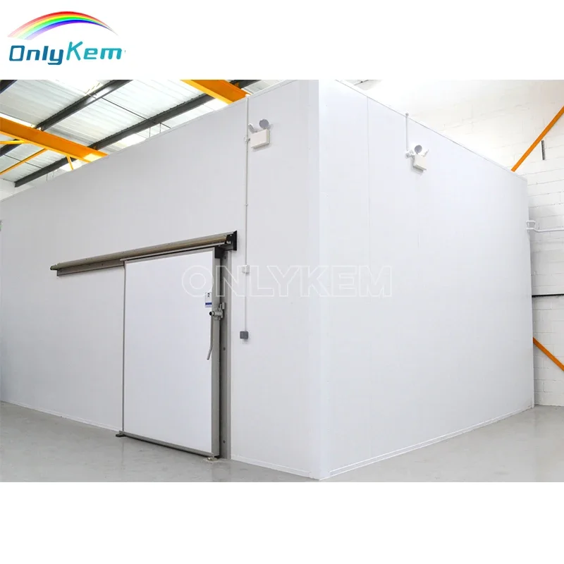 Walk in Freezer Automatic Electronic Sliding Door for Cold Room