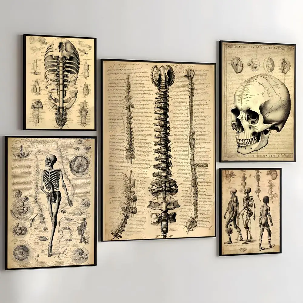 Human Body Anatomy Painting Calligraphy Self Adhesive Wall Art Waterproof Print For Bedroom Living Room Hallway Home Decor