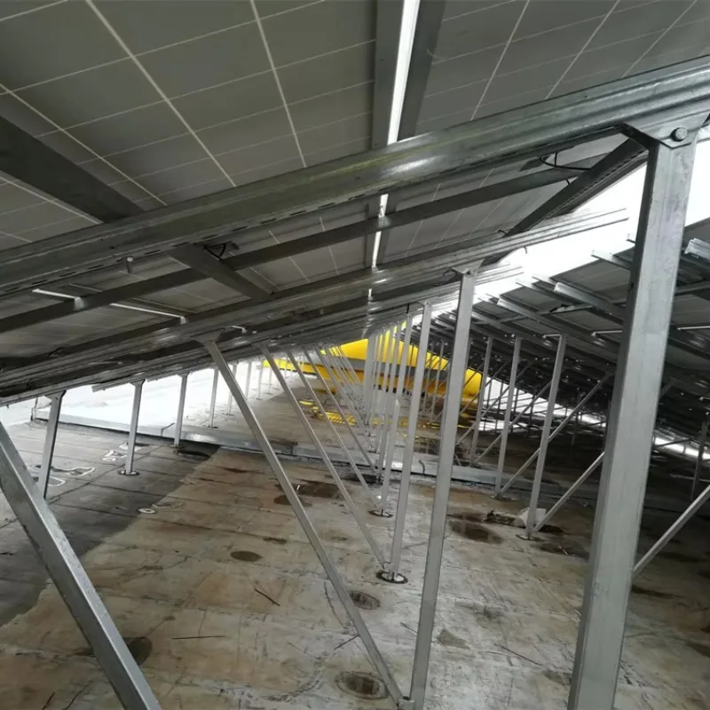 Gallery image 5