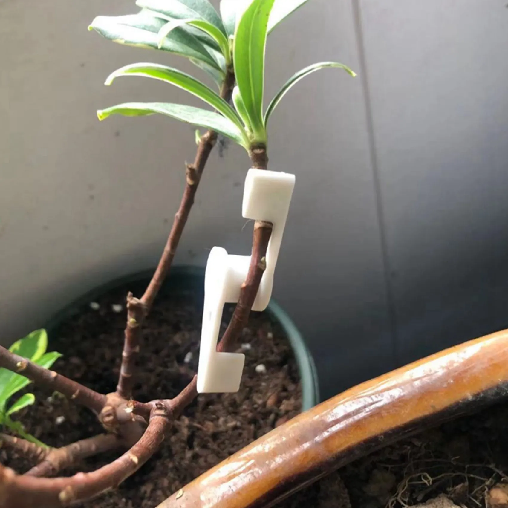 

A53Q-120Pcs 360 Degrees Adjustable Bend Plant Clip Plant Bender For Low Stress Training Plant Training Curved Plant Holder