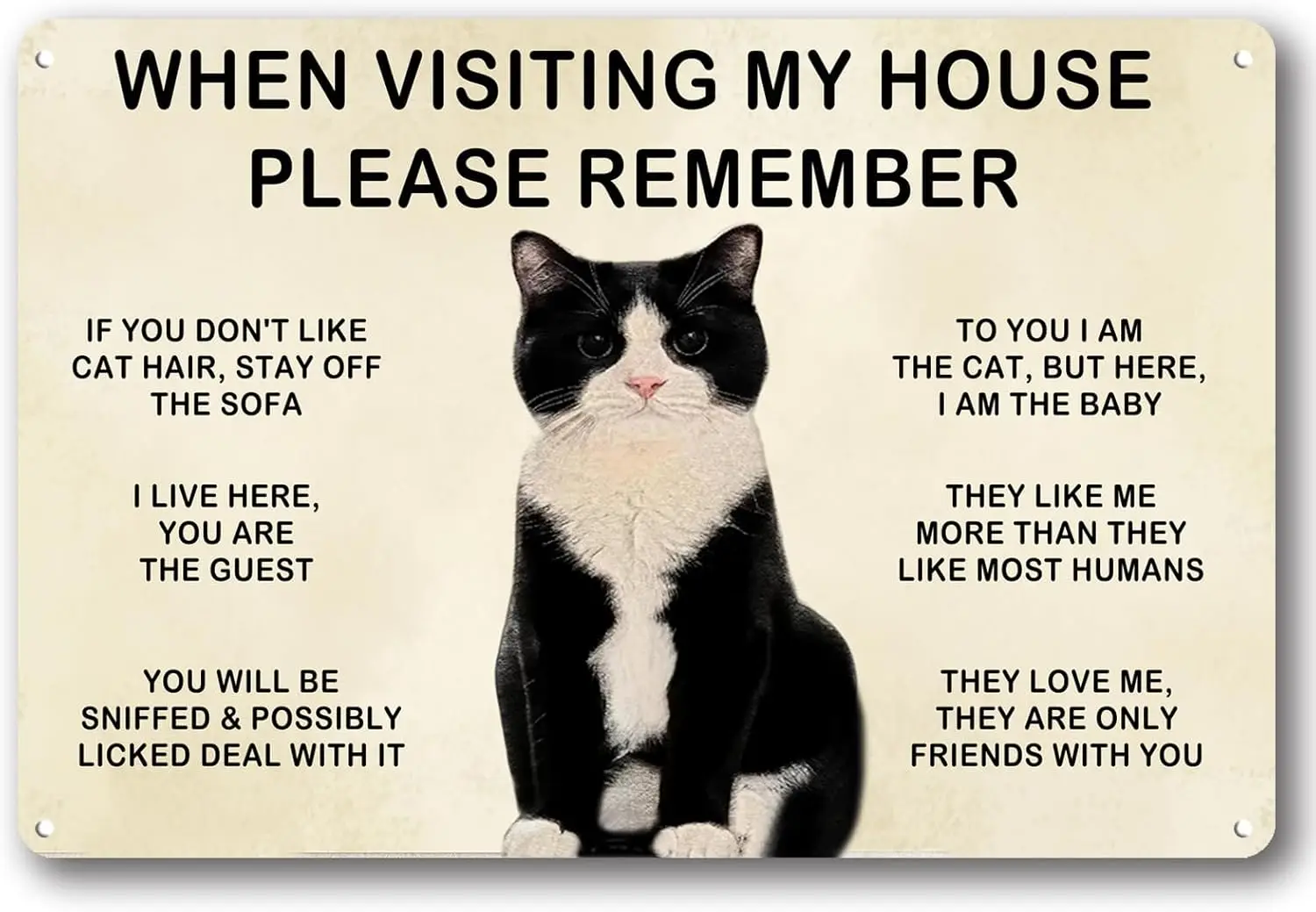 Black Cat Lover Gift When Visiting My House Please Remember, Cats Metal Sign Artwork Cat Print Poster Rules Sign Aluminum
