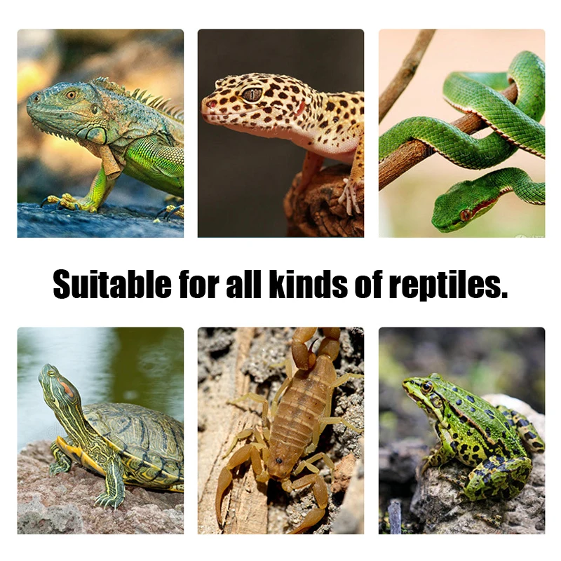 6-36W Terrarium Reptiles lizard Heat Mat Climbing Pet Heating Warm Pads Intelligent Adjustable Temperature Controller Mats US EU