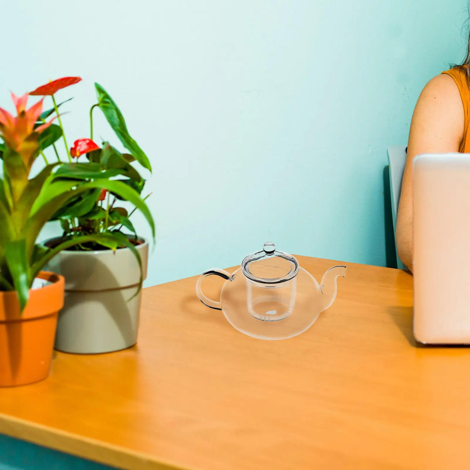 Stylish Clear Glass Tea Pot Heat Resistant Modern Design Small Teapot for Blooming Tea Loose Leaf Brewing Elegant Home Office