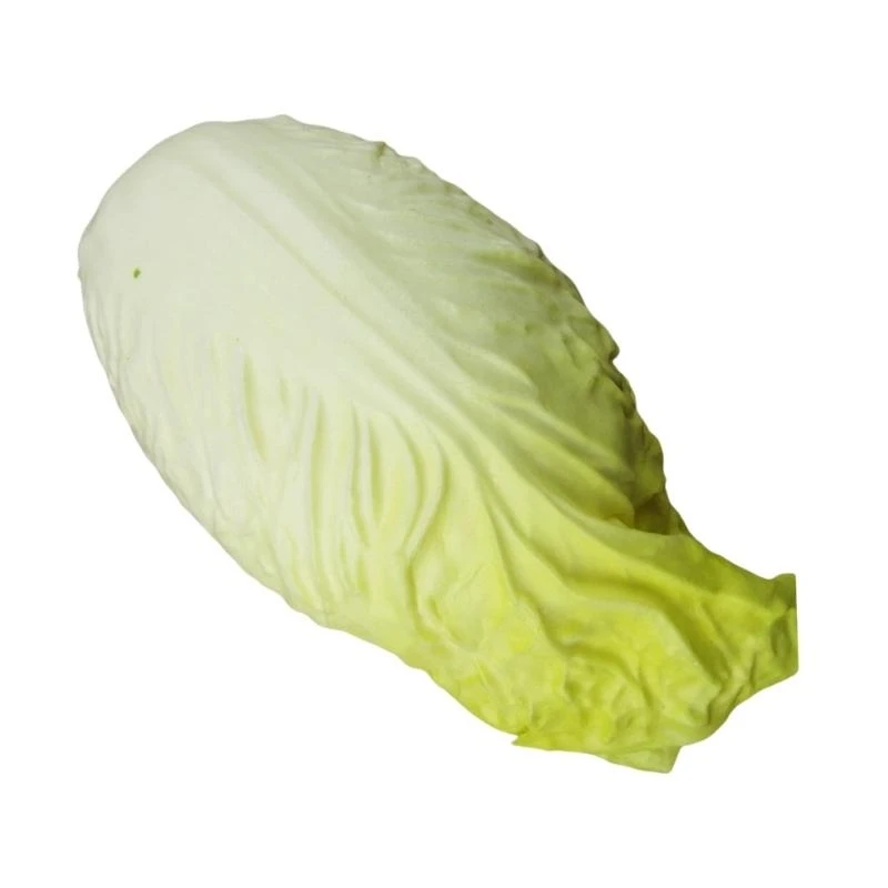 

Artificial Chinese Cabbage Realistic Cabbage Kitchen Vegetable Decoration for Shop Display Home Decoration Photography 15UB