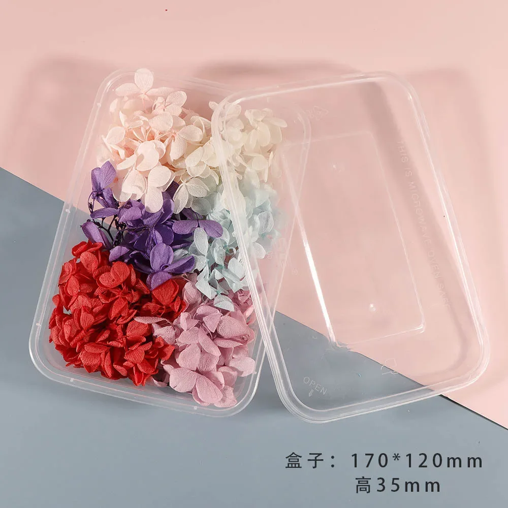 Dry Flower Handmade Material Package Embossed Photo Frame DIY Material Package Immortal Flower Box Mixed