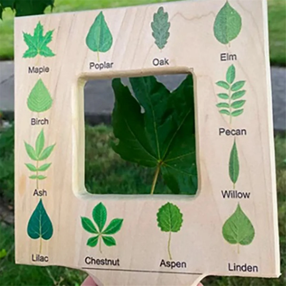 Nature Guide Finder Toddler Wooden Handheld Toy Double-Sided Board Outdoor Plant Children-C